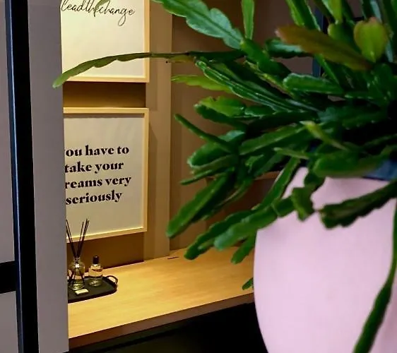 The Matter Meaningful Appartement